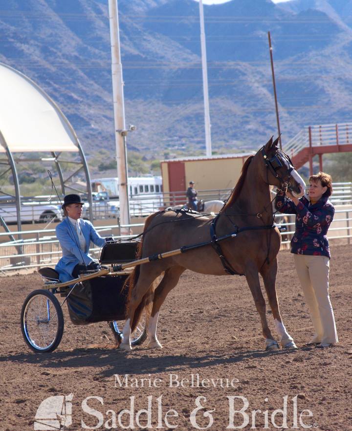 466120866_9471527129543921_88471886765168220_n (1)