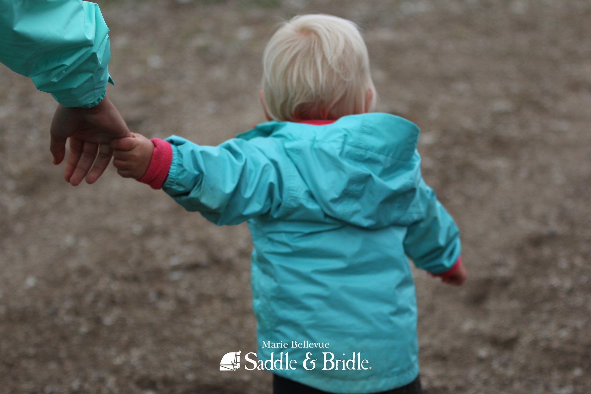 60976048_2771893562840678_2343129510095880192_n (1)