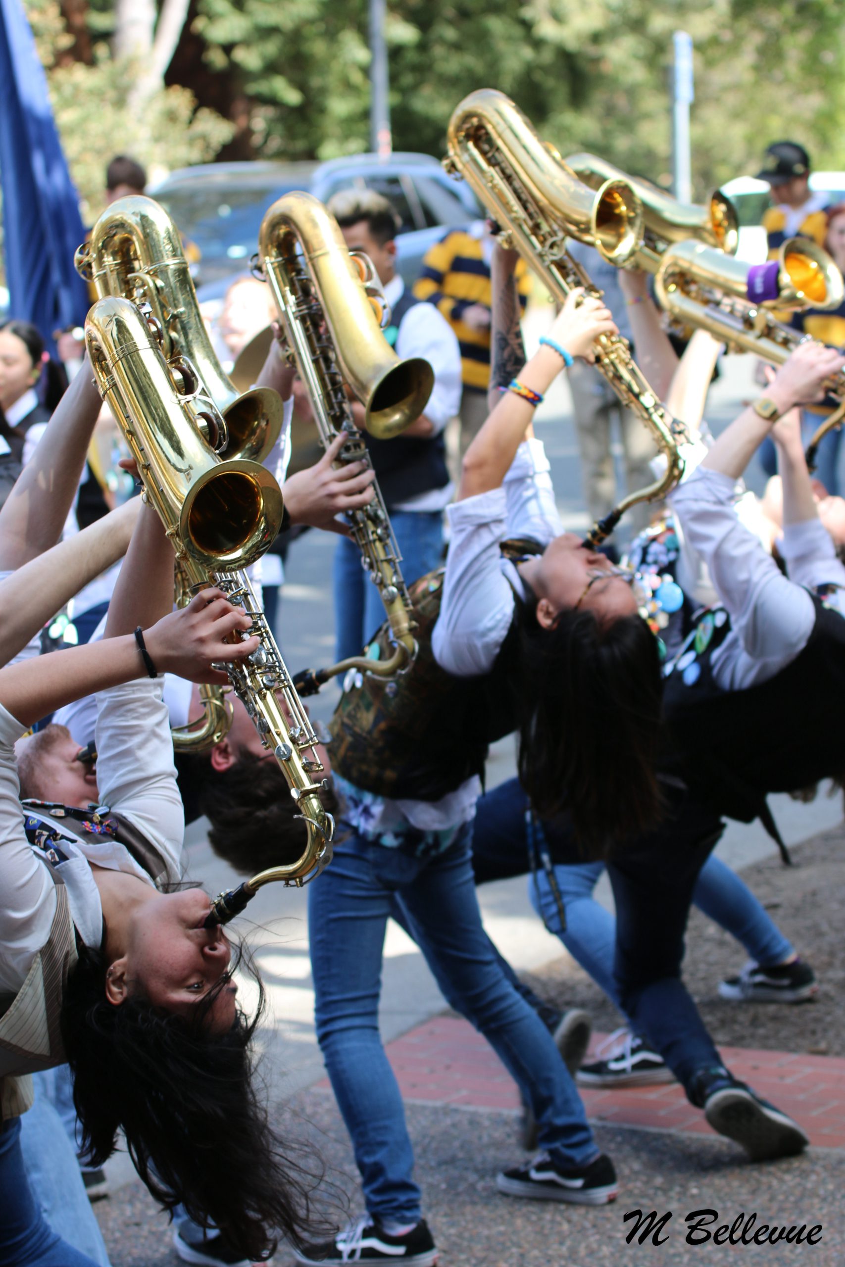 5B2D8021-2E37-4FAB-A5EE-8570BF31E178_1_201_a